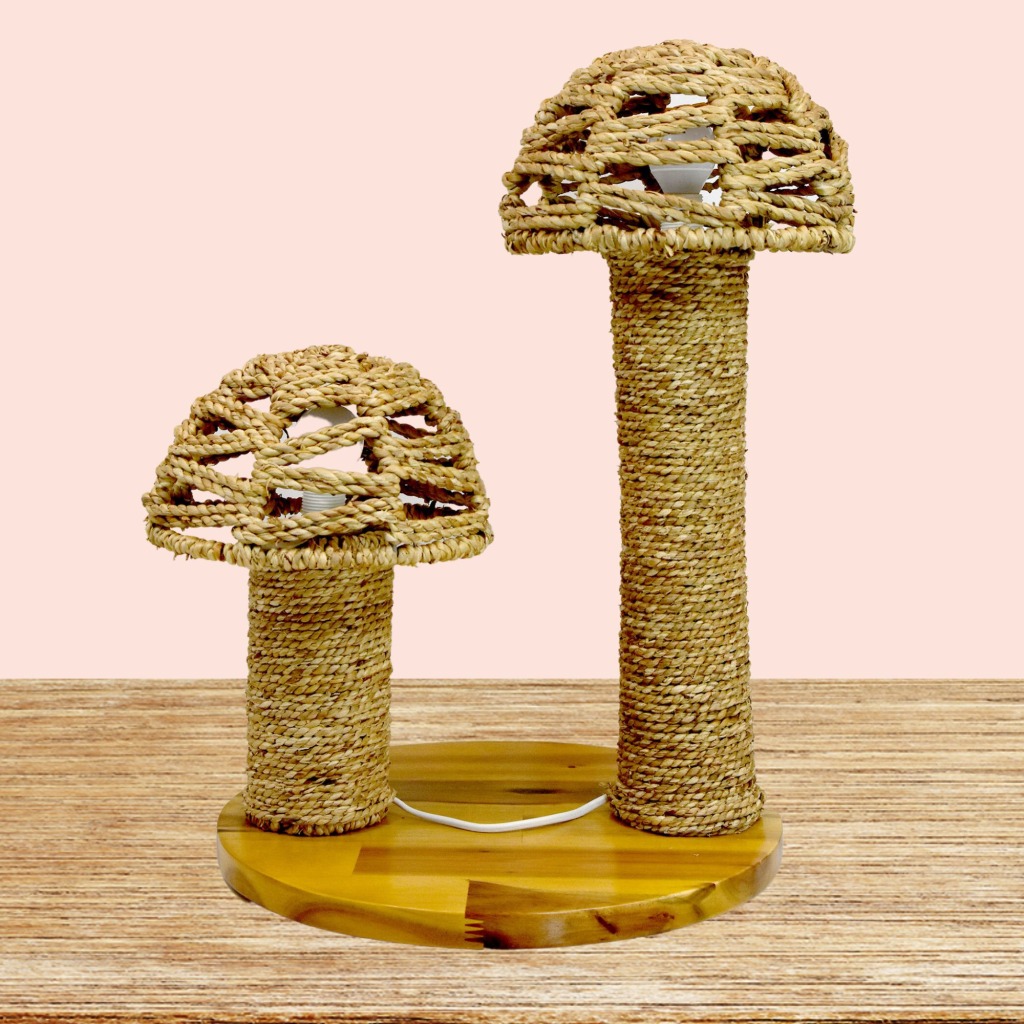 Chan Den Luc Binh Mush